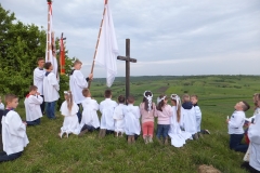 Procesja do Krzyża przy Ddrodze do Radenic